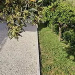 Vakantieboerderij Casa Barone *