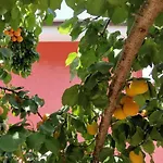 Vakantieboerderij Casa Barone *