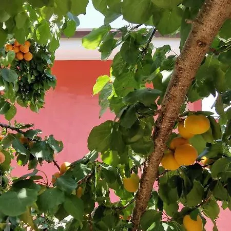 Фермерский дом Casa Barone *