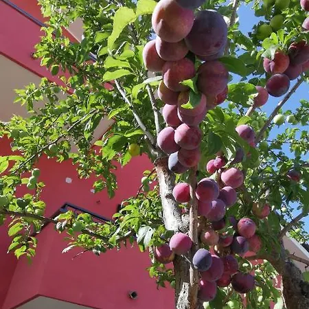 Casa Barone Roccadaspide