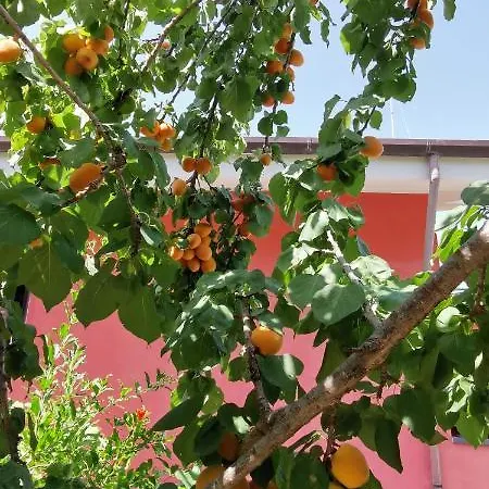 Casa Barone Фермерский дом Roccadaspide