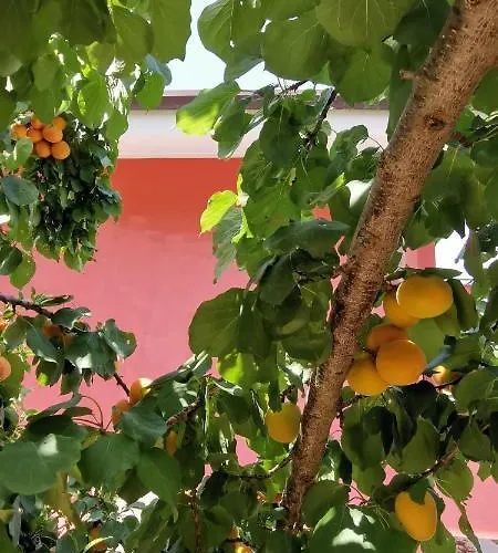 Farma Casa Barone *
