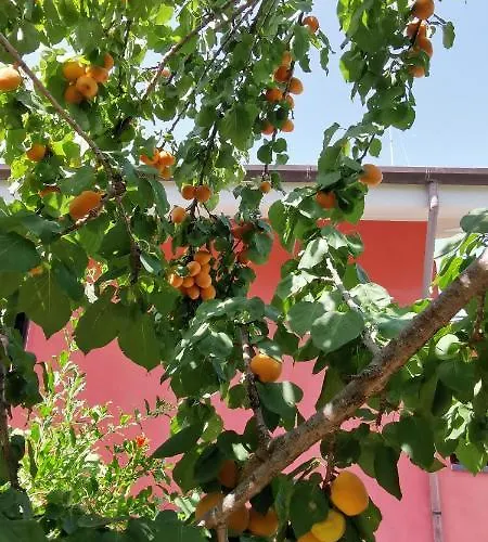Casa Barone Farma Roccadaspide